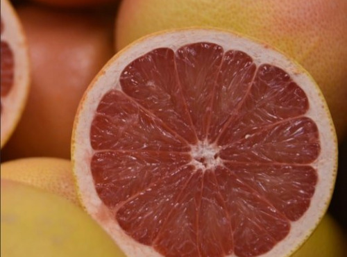 Les Hespérides - Coopérative de la Riviera Française - Pomelos Star Ruby  5kg
