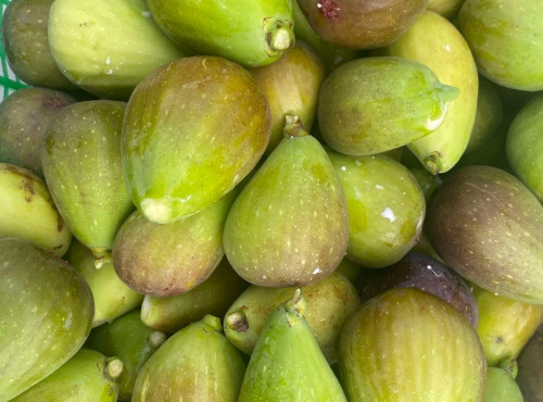 Des Poules et des Vignes à Bourgueil - Figues fraîches blanches/violettes