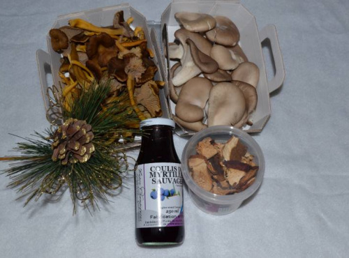 Trapon Champignons - PETIT COFFRET DE NOEL