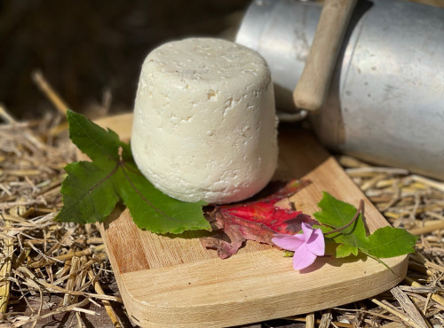 Fromagerie Maurice - Tommette Fraîche
