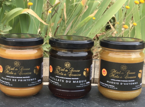 Depuis des Lustres - Comptoir Corse - Coffret Miel Corse AOP - 750 g