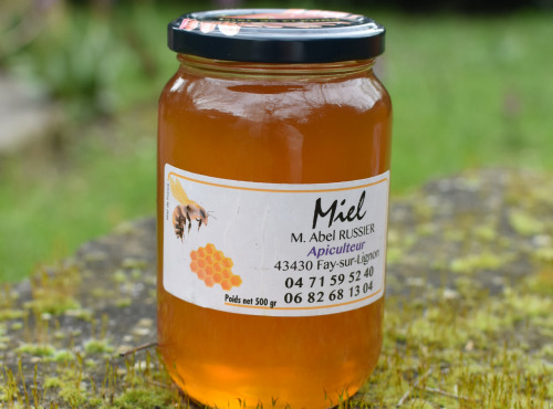 La Truite du Mézenc - Miel de Fleurs - 500g