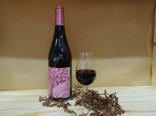Domaine d'Auménie - AOC Beaujolais Nouveau rouge 2021 - en conv bio - 75cl