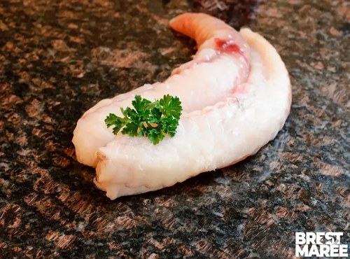 Brest Marée - Filet de Lotte - 1kg