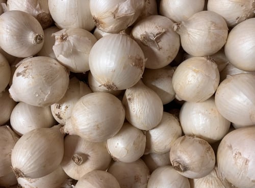 Domaine Reverchon - Oignons blanc 1kg
