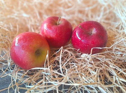 Les Jardins de Gérard - Pomme Story Bio - 1 kg