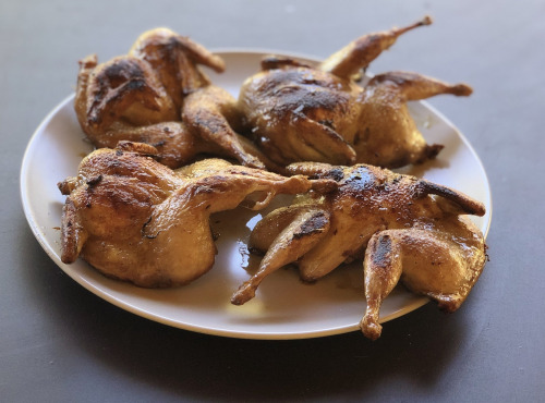 Ferme du Vidalies - 4 Cailles à rotir - 860 gr