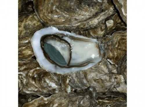 Poissonnerie Paon - Huîtres Emeraude Lambert N°3 : 6 huîtres