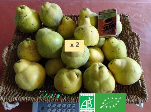 LES JARDINS DE KARINE - Coing frais - 10kg