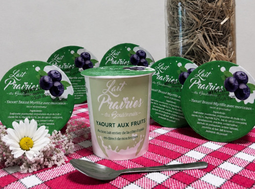 Lait Prairies du Boulonnais - Yaourt brassé Myrtille - 6 x 125g