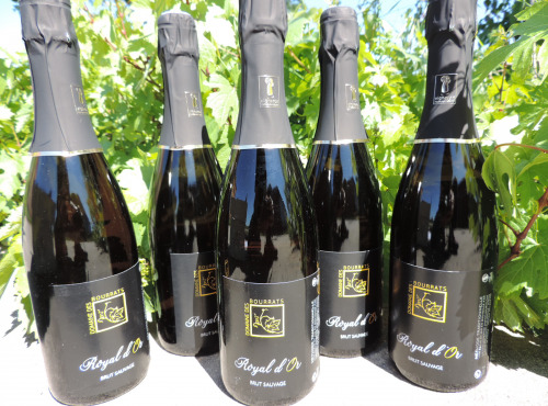 Domaine des Bourrats - Méthode Traditionnelle Royal d'Or - 6 bouteilles