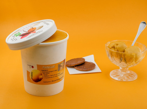 Le Jardinier Glacier - Sorbet Mangue Alfonso-1 litre