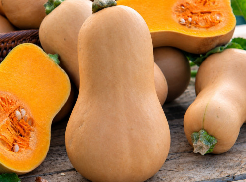 Naturélium - Courge butternut bio de la Drôme
