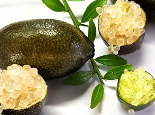 Ferme Les Jardines - Citron Caviar Sunshine Yellow Bio