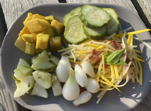Ferme Sinsac - Plateau apéro végétarien pour 4 a 6 personnes de 1kg