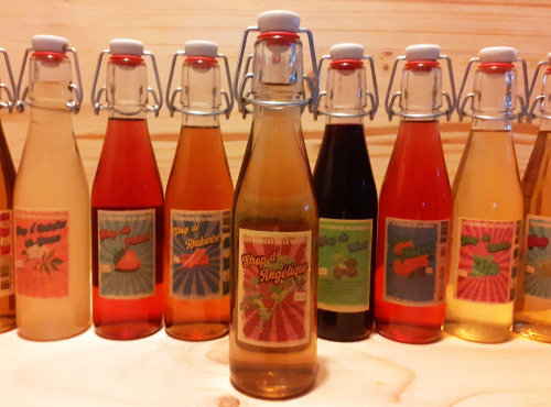Les Vergers de la Vautée - Sirop d'Angélique 25cl