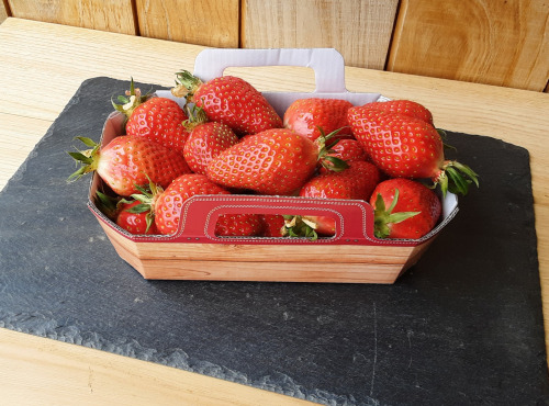 Gourmets de l'Ouest - Fraises de Saint-Malo - barquette 500g