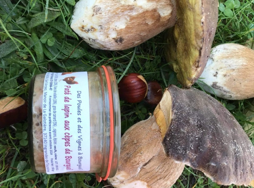 Des Poules et des Vignes à Bourgueil - Pâté de lapin aux cèpes de Bourgueil
