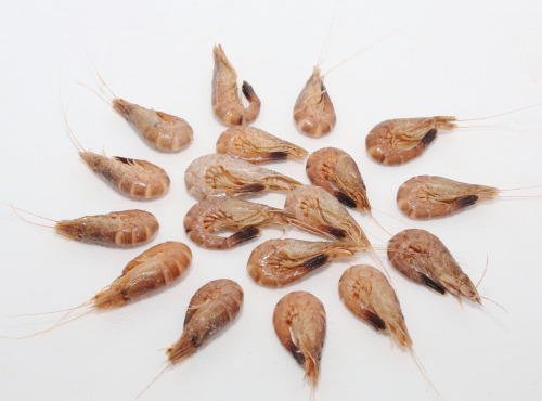Mer Sea - Crevettes Grises 500 Gr