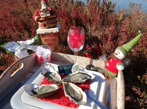 Les Huîtres Courdavault Alain & Fils - Offre Fêtes 2018: 4 Dz Fines De Claires Calibre 1 Marennes Oléron