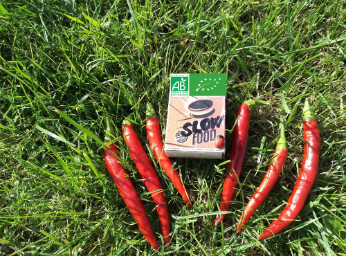 LES JARDINS DE KARINE - Piment frais rouge très fort - 50g