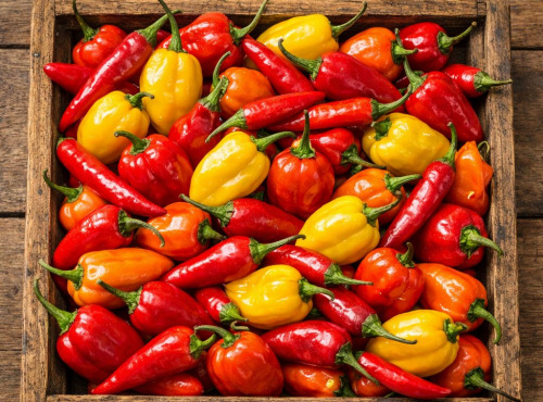 Nature et Saveurs - Ferme Aquaponique et Permacole Astérienne - Piments Frais en mélange - 200g