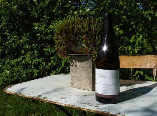 Domaine Ghislain Kohut - Lot 6 Bouteilles de Marsannay Blanc "en Mormain" AOC