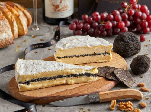 Plantin - L'art de la truffe depuis 1930 - Brie à la truffe noire 10% - 170g