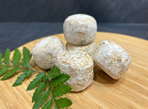 Maison BAYLE - Champions du Monde de boucherie 2016 - Crottin de Chavignol - 80g