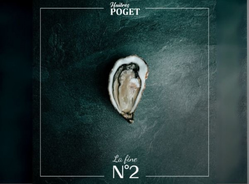 Huîtres Poget - Huîtres La Fine du Galon d'Or n°2 x96
