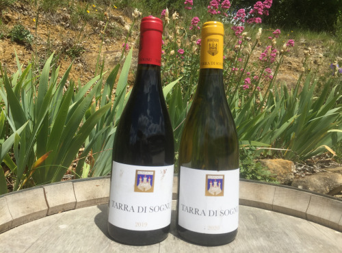 Depuis des Lustres - Comptoir Corse - Clos Canarelli - cuvée Tarra di Sognu - Duo