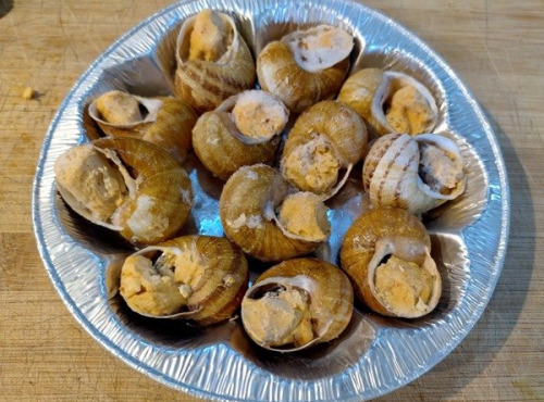 Kerhelix - Coquilles escargots tomates piment d'Espelette 4x12