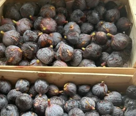 L’Oliveraie du Coudon - FIGUES CONFITURE 15KG (bien lire la description)