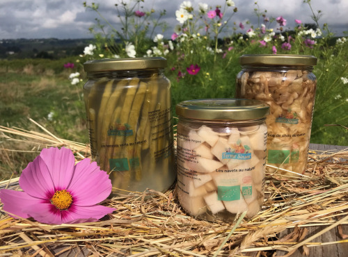 Ferme Sinsac - Panier l’essentiel de la lacto-fermentation