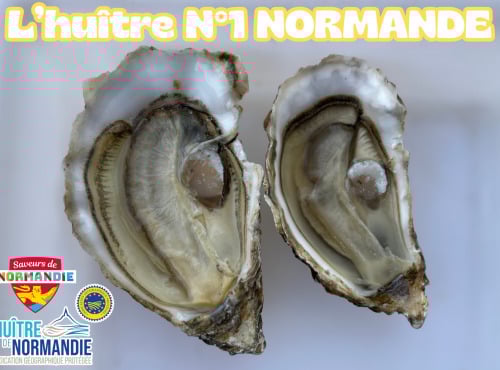 Le Termer - Huitres de Normandie IGP Saveurs de Normandie N°1