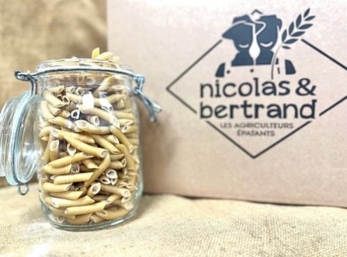 Nicolas & Bertrand - Pâte Fermière Penne - 5kg