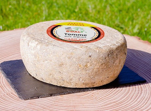 Fromagerie Saint Goal - Tomme de chèvre - algues - 3 kg