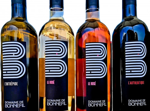Domaine de Bonnefil - Coffret découverte 6 bouteilles de vin