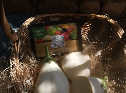 Les Jardins de Gérard - Aubergine blanche bio