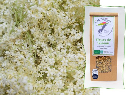 L'Agricueilleur du Suzon - Fleurs de Sureau BIO