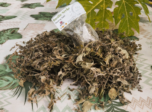 Nature et Saveurs - Ferme Aquaponique et Permacole Astérienne - Tisane de Tulsi