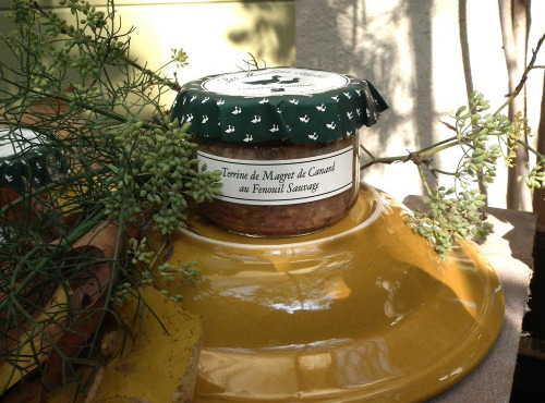 Les Moulins Aufiés - Terrine de magret de canard  au fenouil sauvage 180g