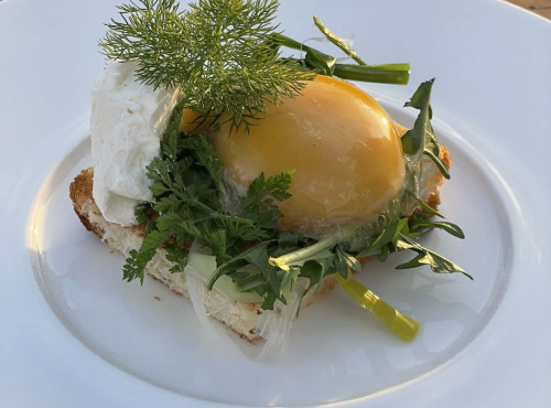 Des Poules et des Vignes à Bourgueil - Jaune d’oeuf d’oie fumé (x8)