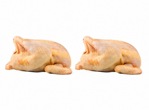 Ferme de Vertessec - Lot 2 Poulettes de Vertessec 3,6kg