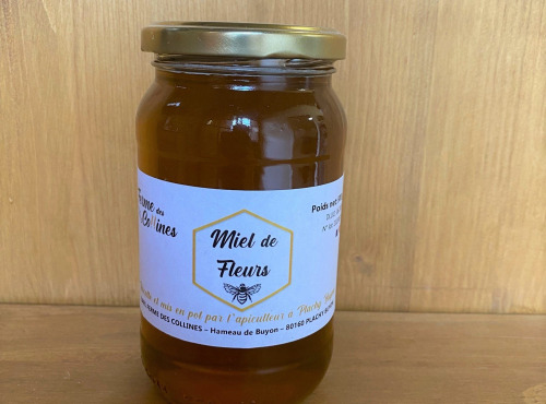 La Ferme des Collines - Miel de fleurs 500g