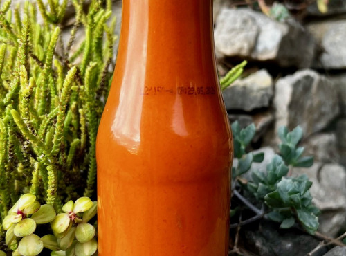 L’Oliveraie du Coudon - SAUCE SALSA BRAVA