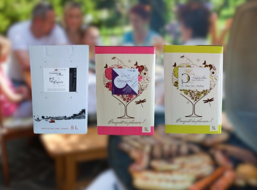 Domaine de la Chopinière du Roy - BIB les essentiels – Lot de 3 bag in box différents (Vin Rouge, Rosé, Blanc) – 3 x 5 Litres