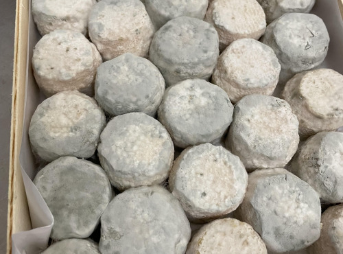 La Guyotte Ferme Bressane - Le Bouton sec par 28