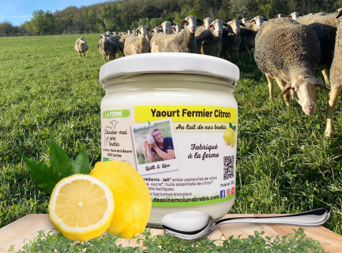 Dessine moi une brebis - Yaourt Brebis Citron 320g