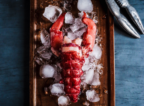 La Maison du Homard - Pack : 10 homards mi-cuits décortiqués (9 + 1 offert)